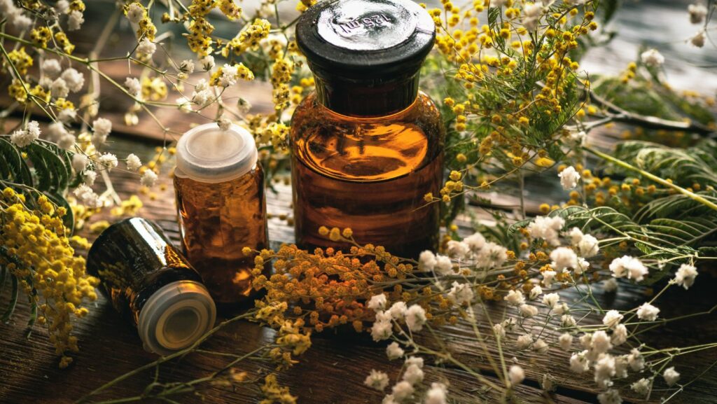 ancestral medicine: rituals for personal and family healing
