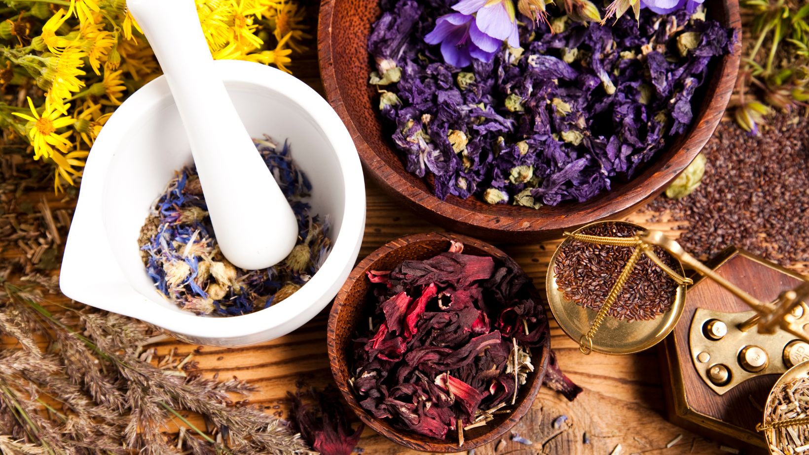 gentle healing arts: acupuncture and herbal medicine